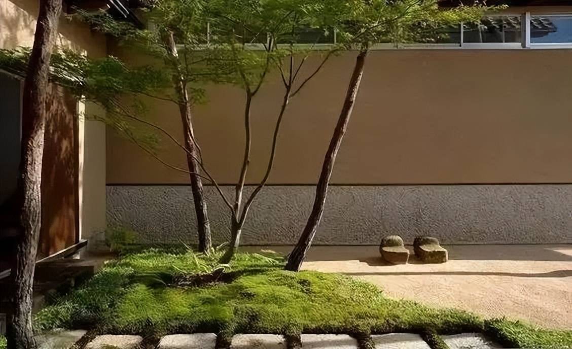 花园里的禅意小景,值得细品