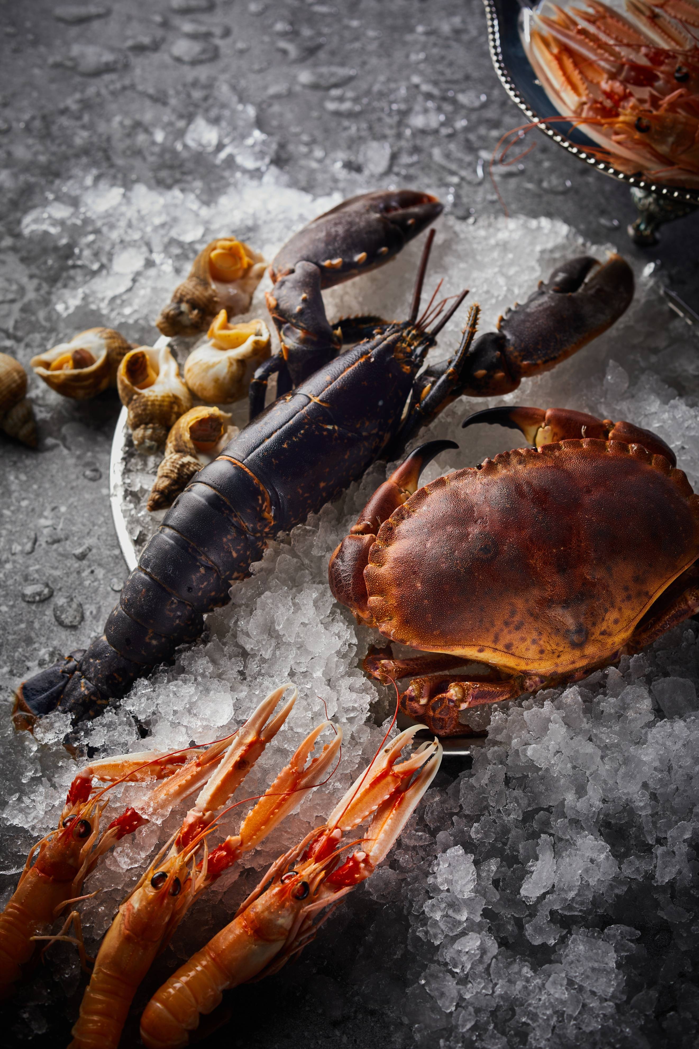 享味爱尔兰 上海艾迪逊酒店爱尔兰海鲜套餐限时回归