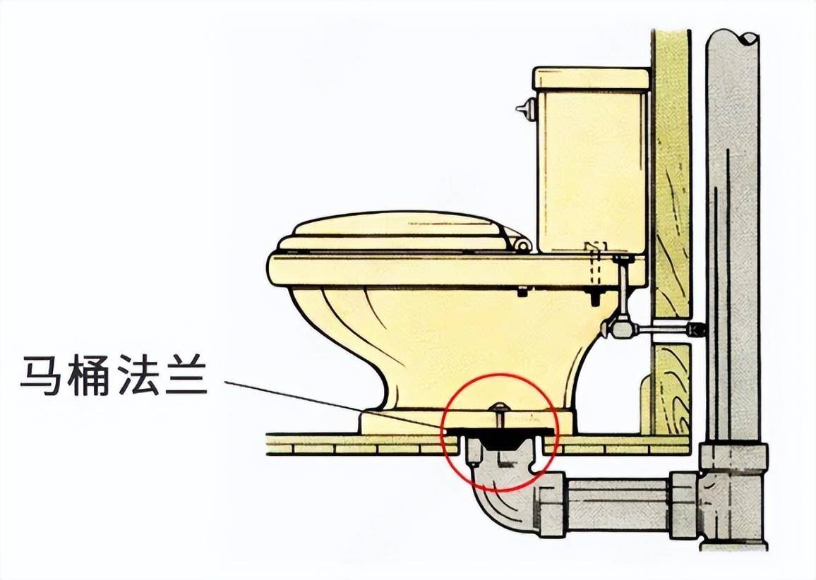 坐便器解剖图图片