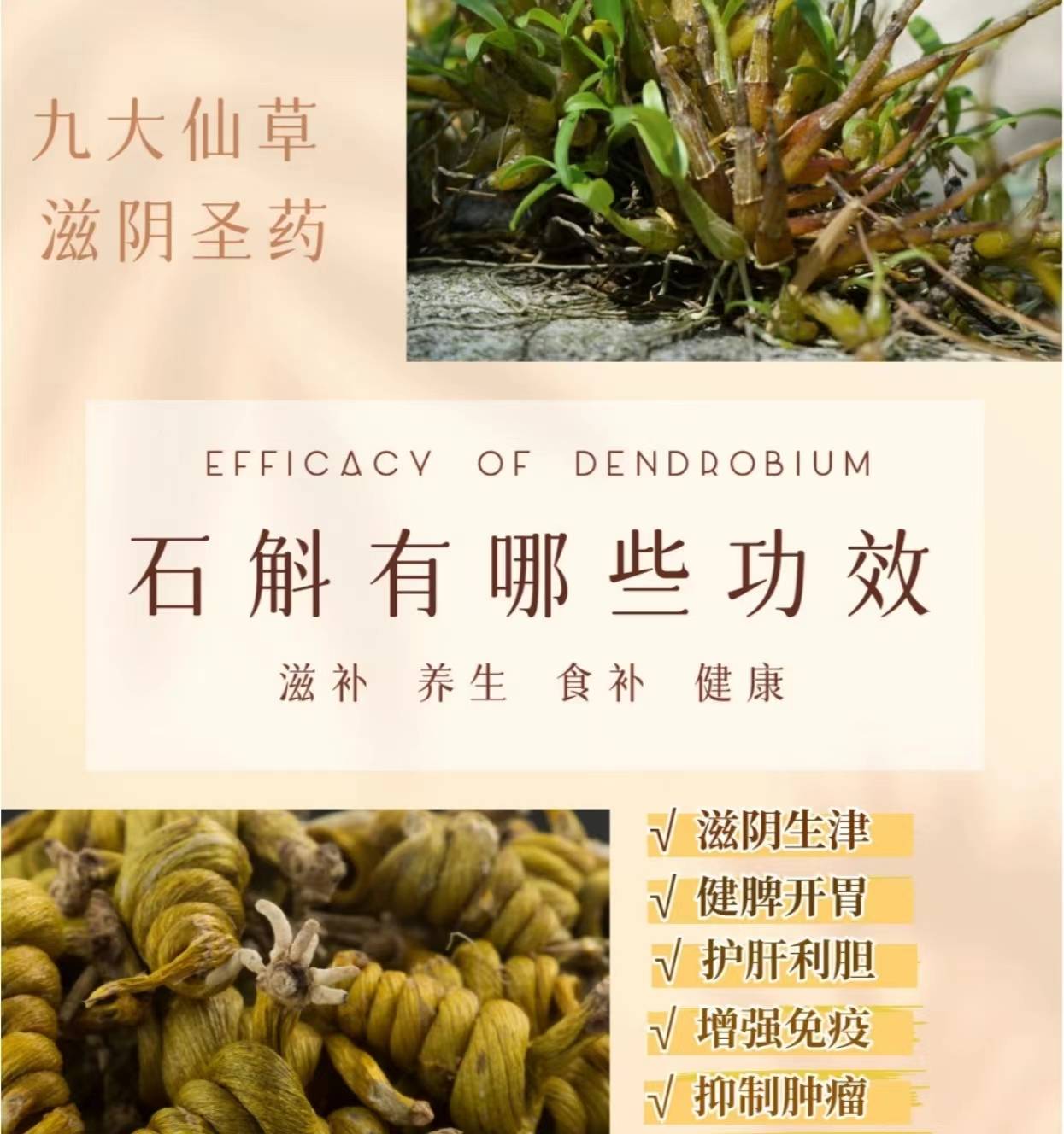 这些效果使得霍山石斛不仅在养生领域备受推崇,在保健品市场也有着