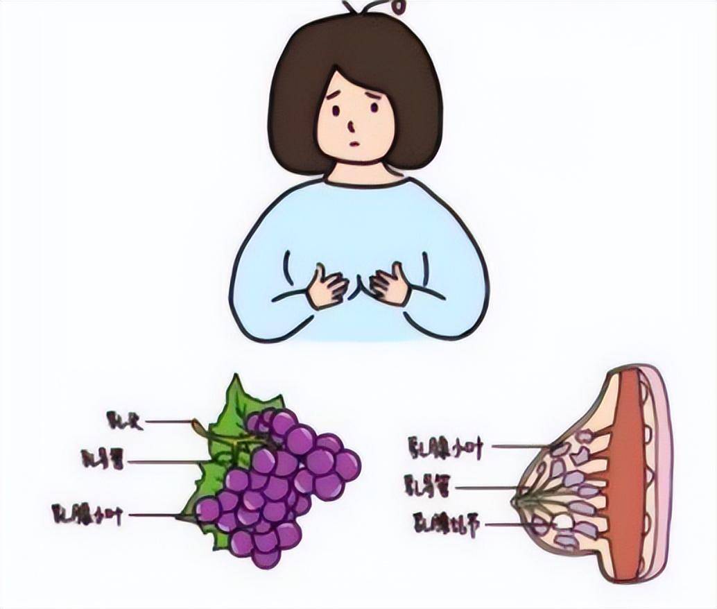 乳腺结节别轻视