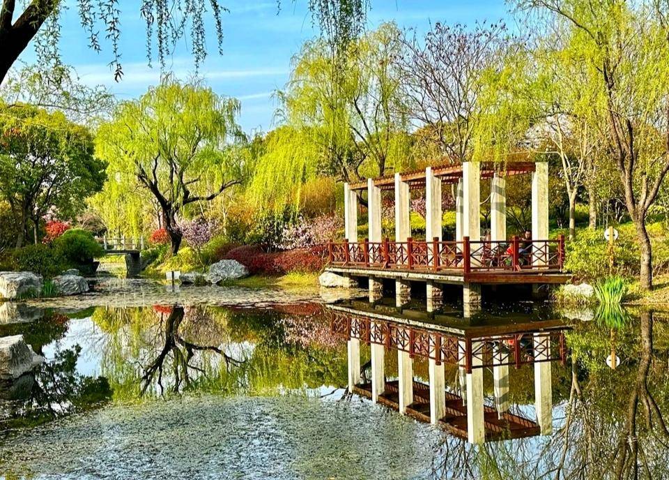 上海闵行陈行公园令人醉_竹林_大自然_宁静