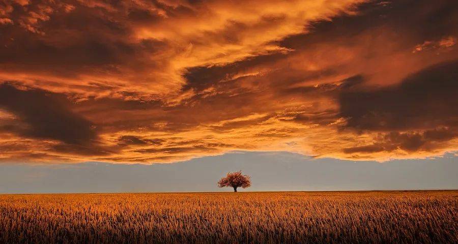 家电企业的新零售变革进展如何？-家电圈官网