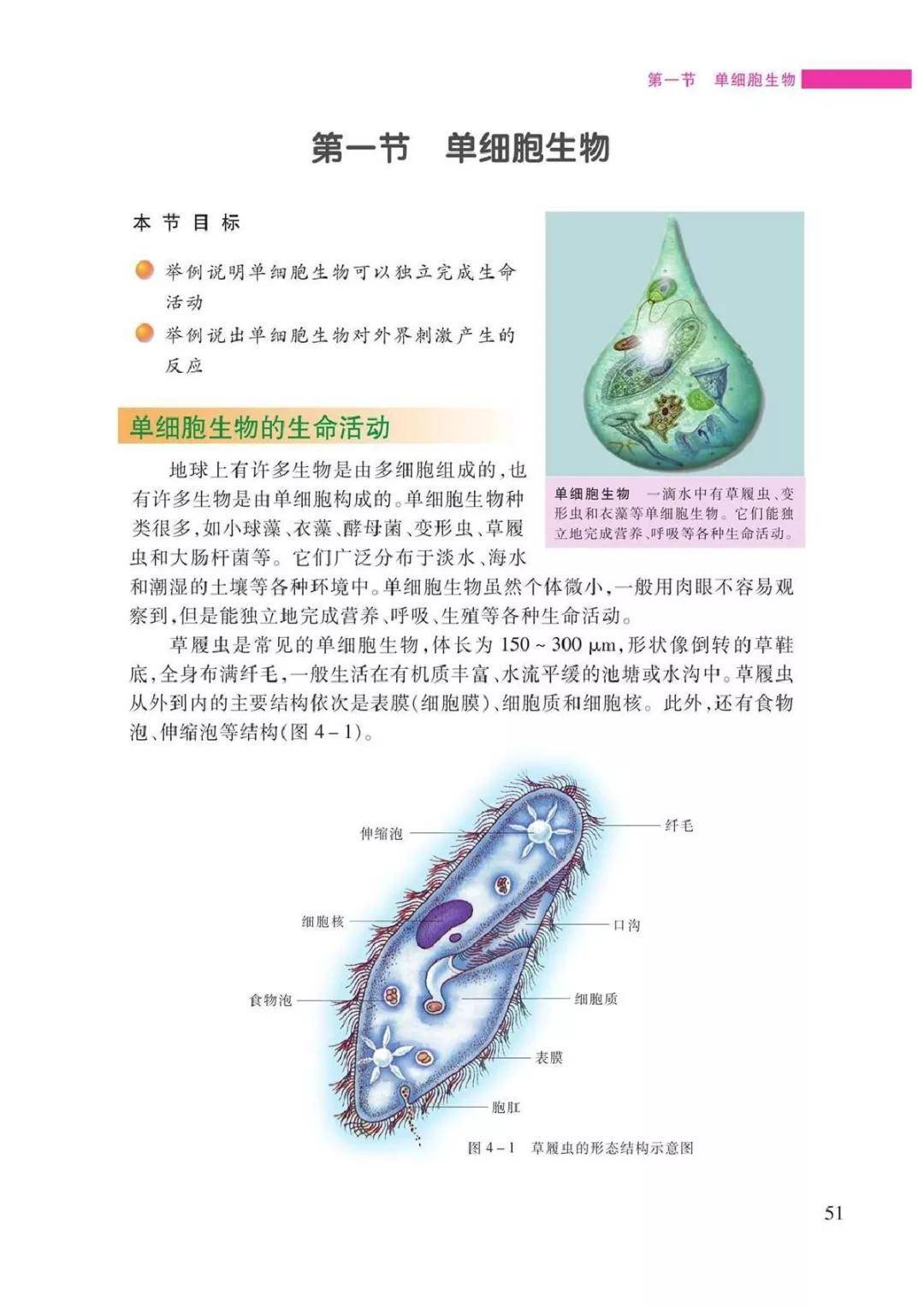 苏教版七年级上册生物电子课本高清完整版