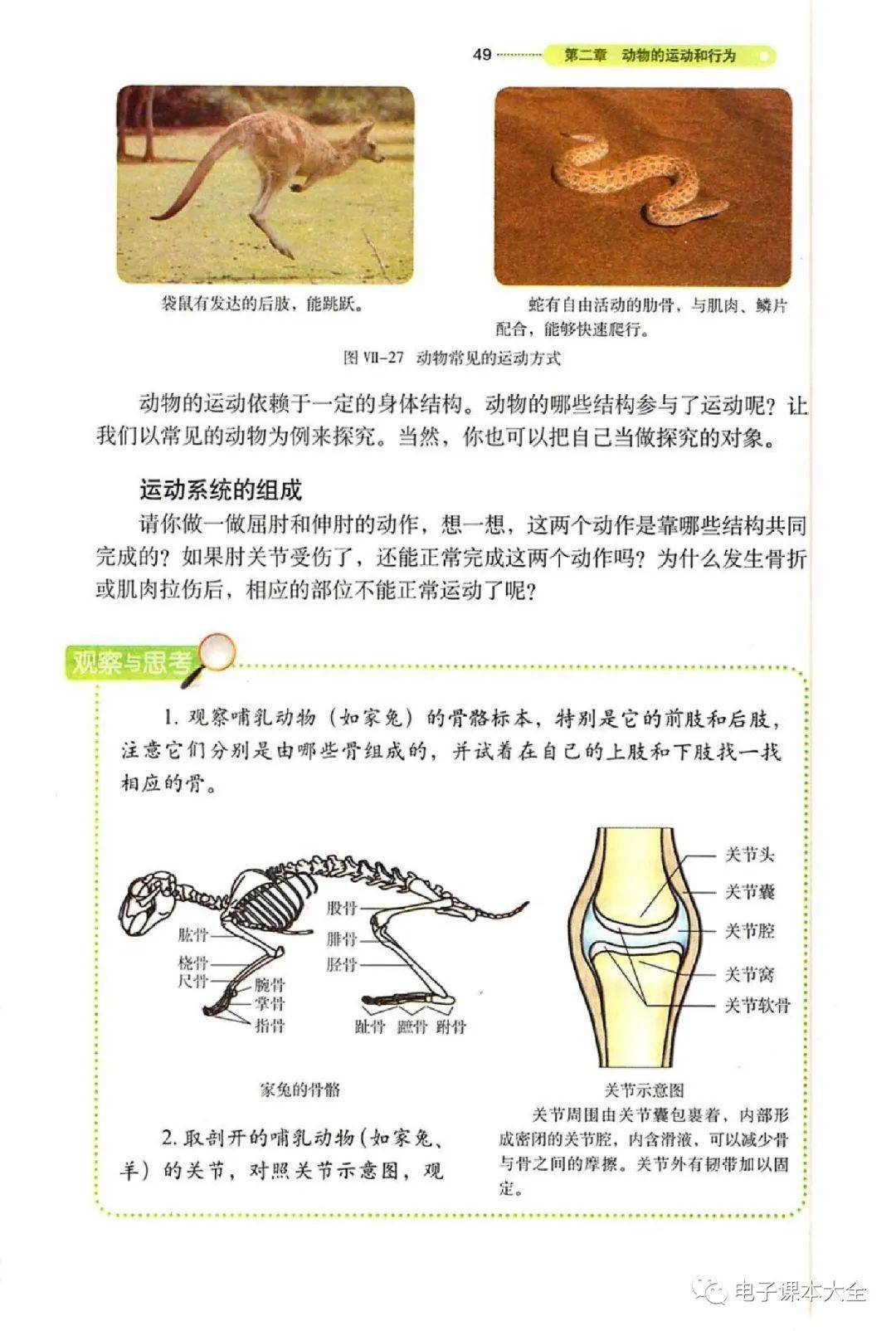 鲁科版八年级上册生物电子课本