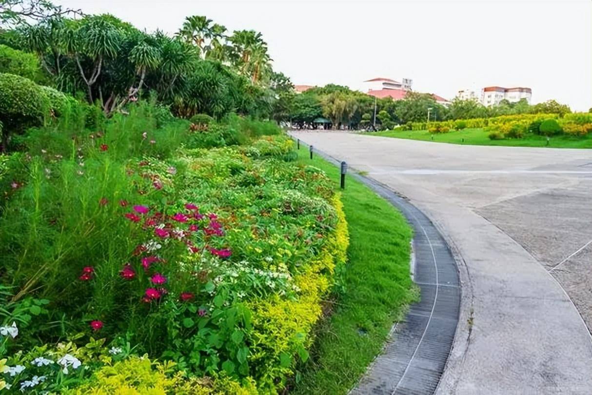 我国随处可见的绿化带,为何注重环保的欧洲都没有?答案来了