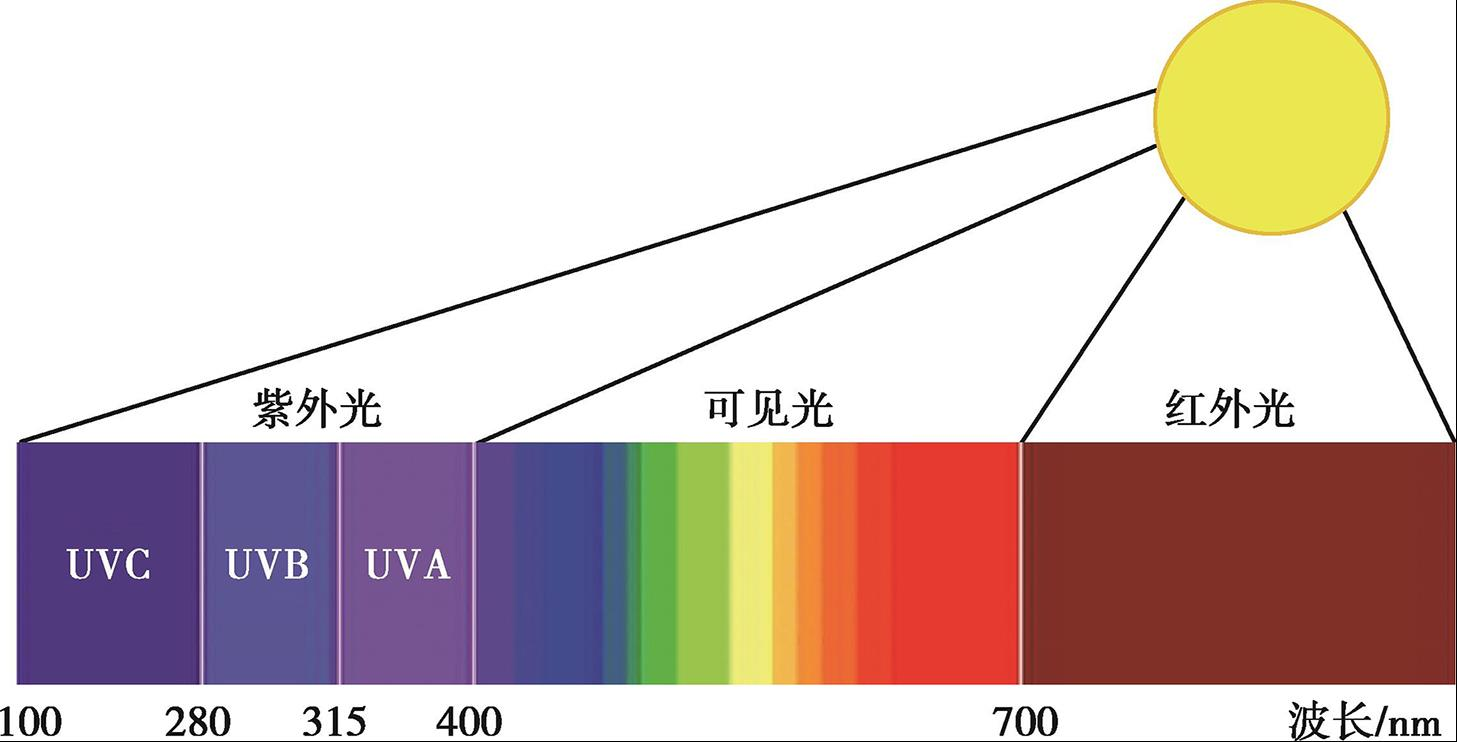 落地灯品牌排行榜_路灯_台灯_光线