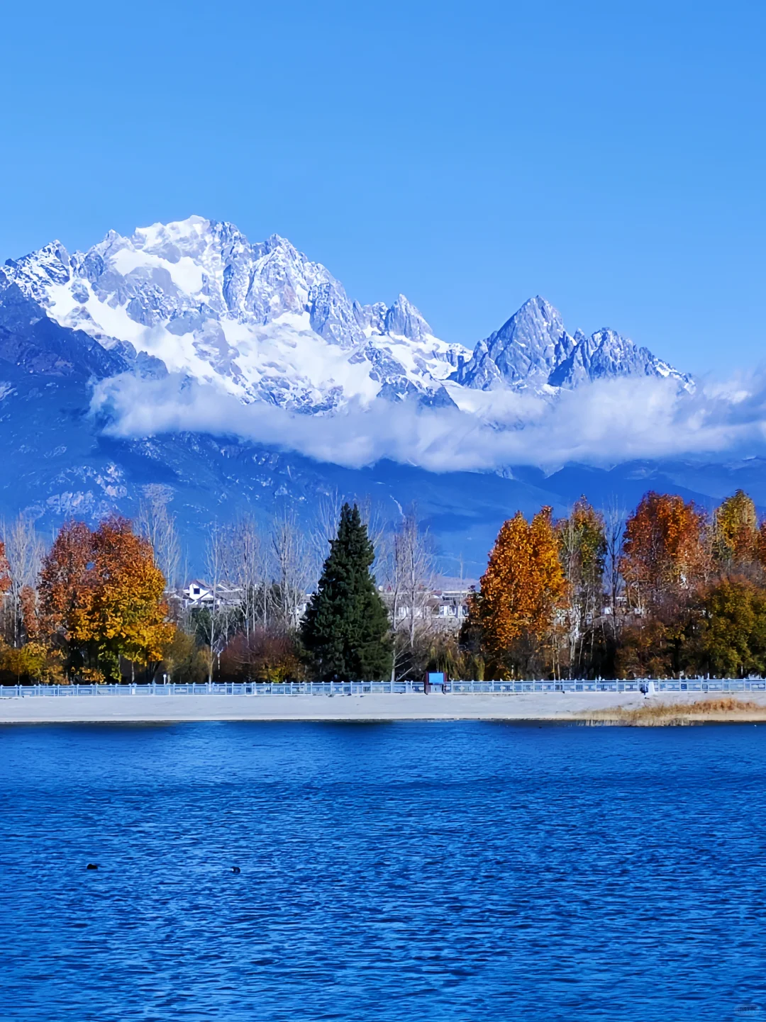 云南丽江玉龙雪山图片图片