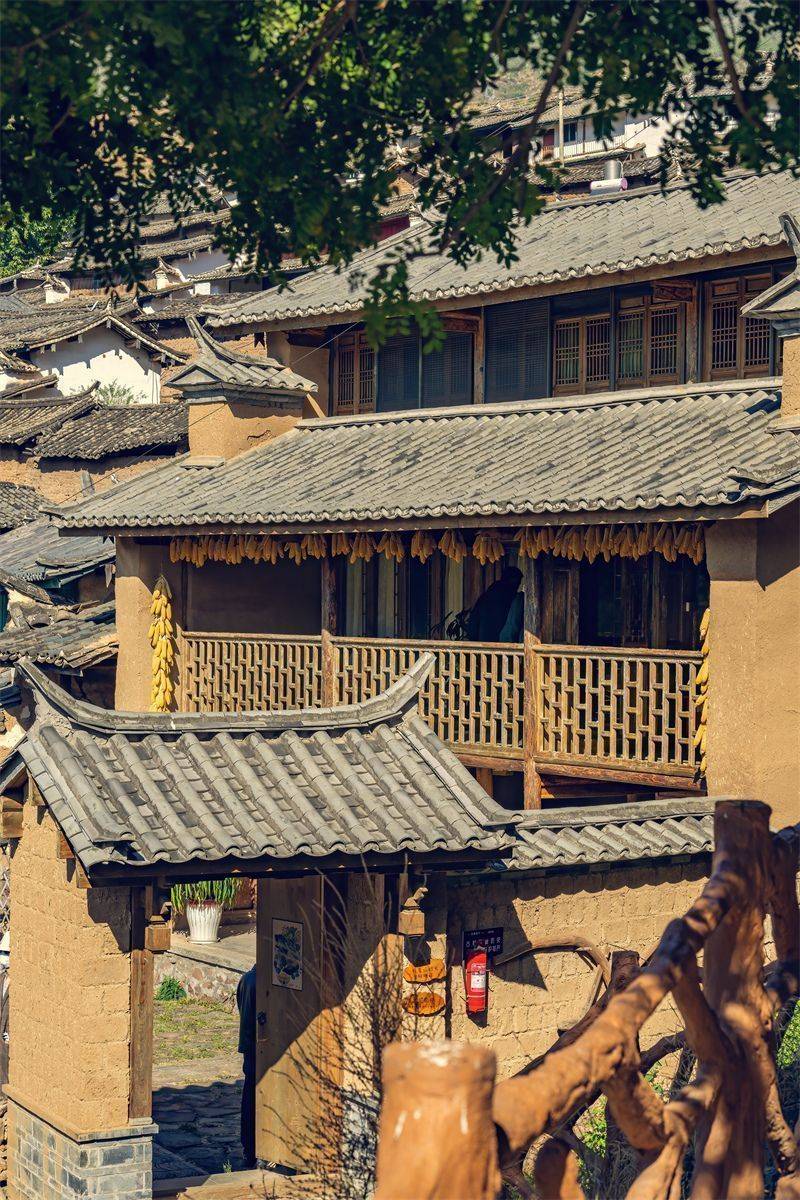 冬天到永仁,解锁"中国阳光城"新玩法!