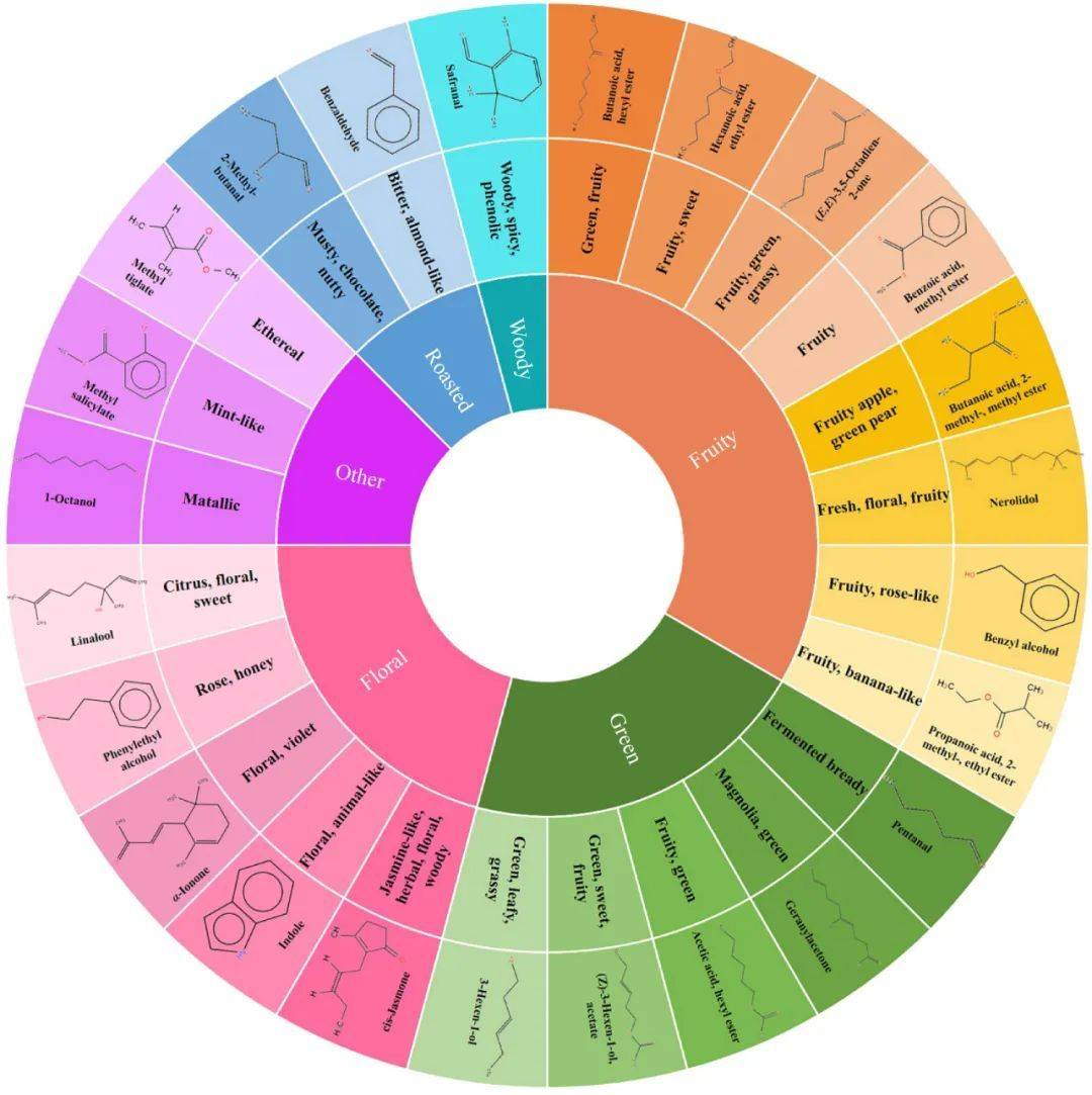 近日,beverage plant research期刊在线发表了中国农业