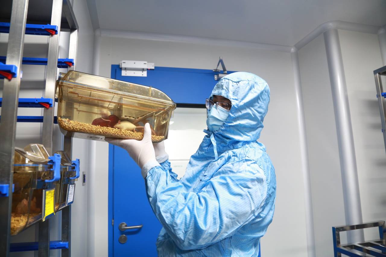 实验动物房:严苛标准下的高效有序建设