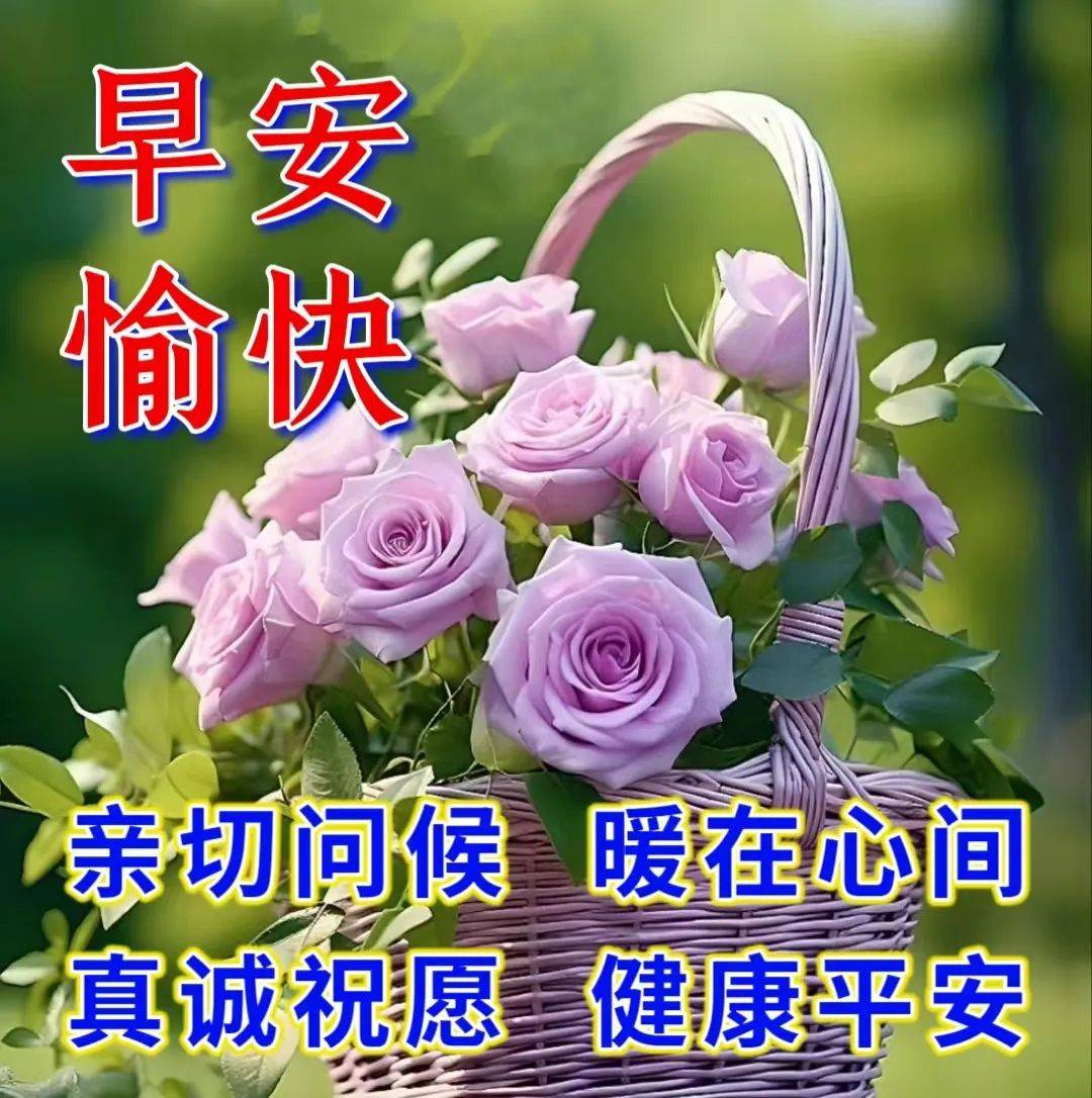 2024年1月26日周五早上好,最新早安温馨祝福图片带字问候语录_一生