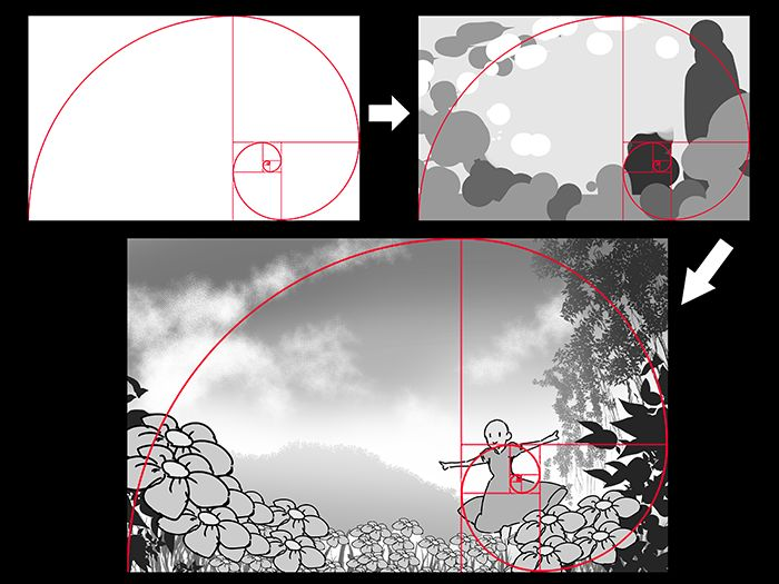 黄金分割线作图图片