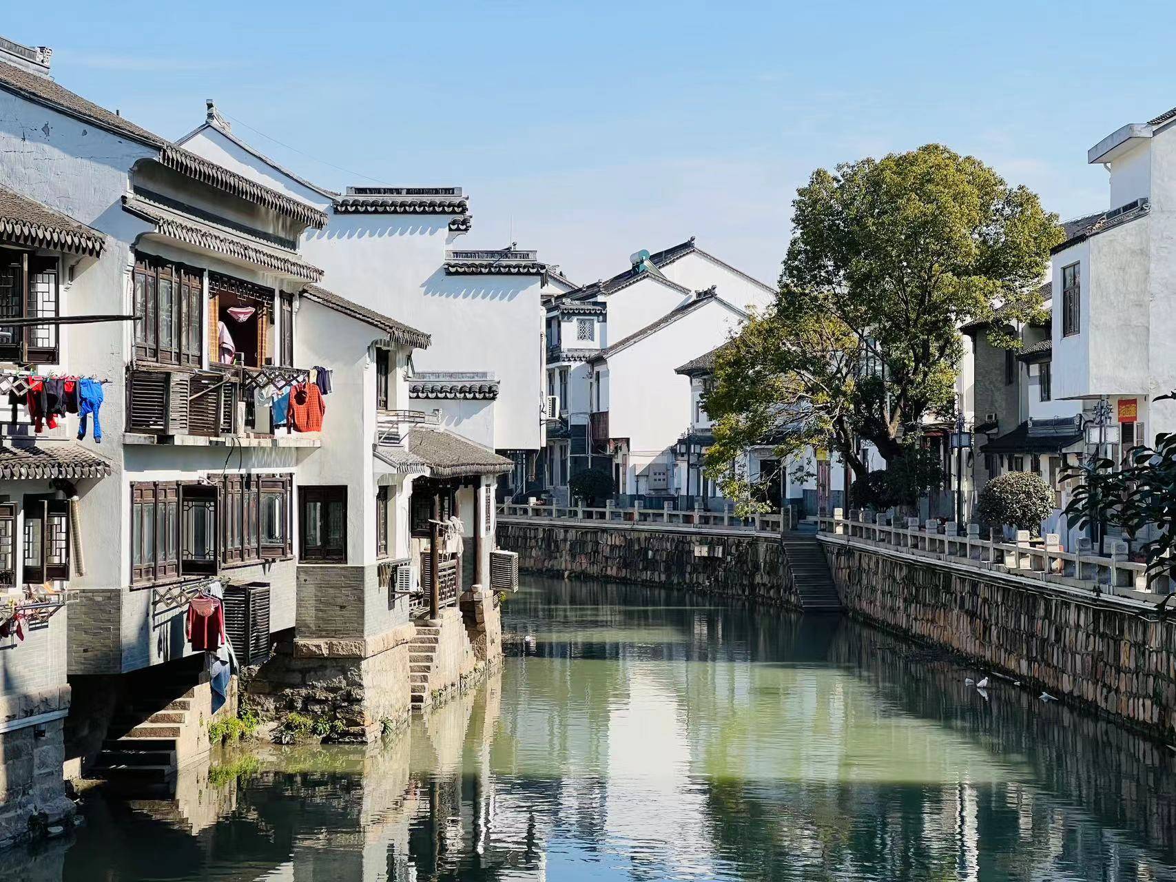 宝山区罗泾镇旅游图片