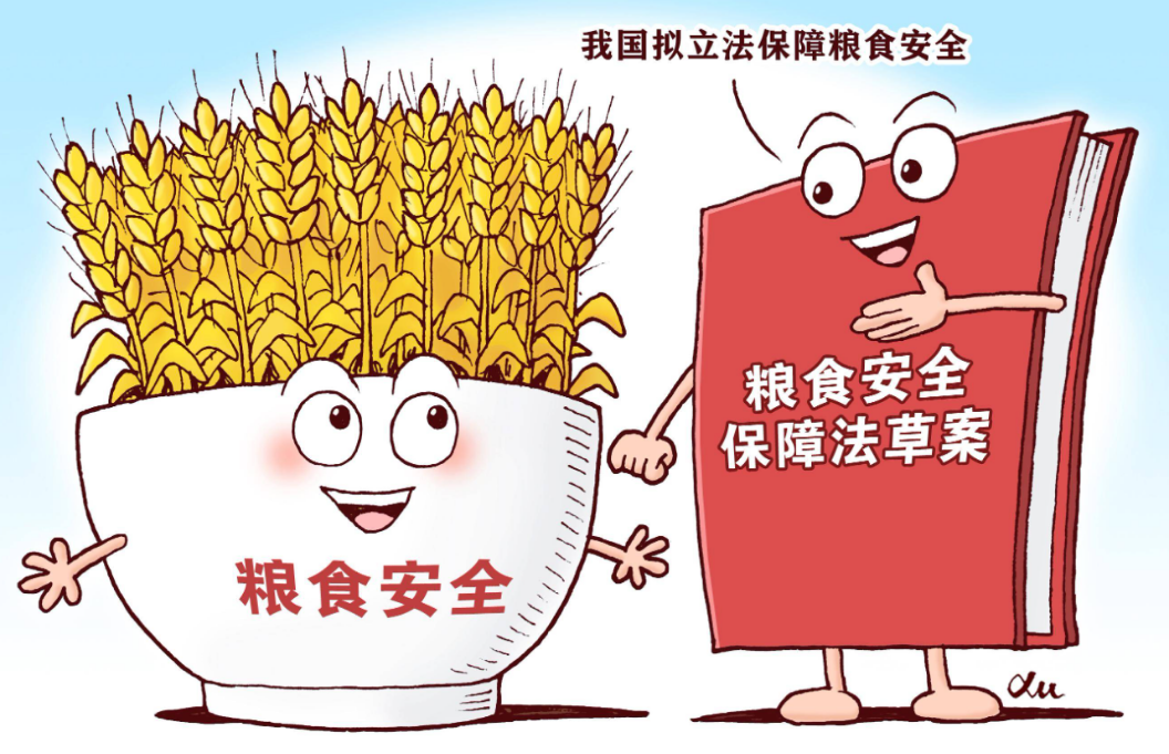 《粮食安全保障法》规定:耕地上种植非农作物 将停发粮食补贴!