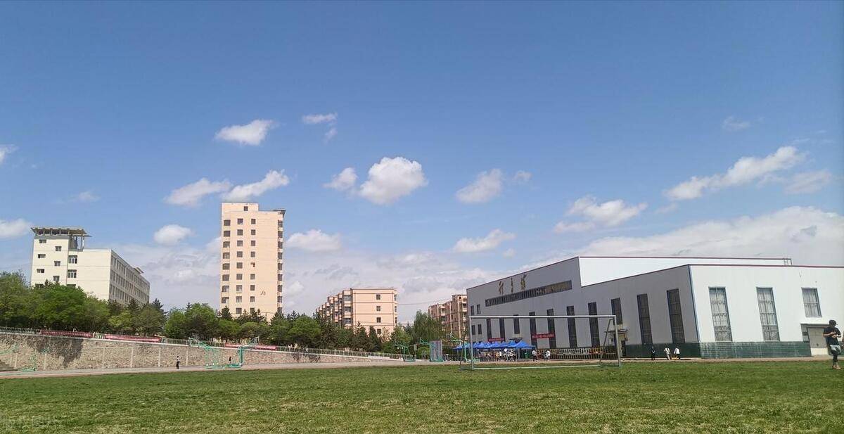 2024年新疆维吾尔自治区高职院校排名,新疆轻工职业技术学院第一