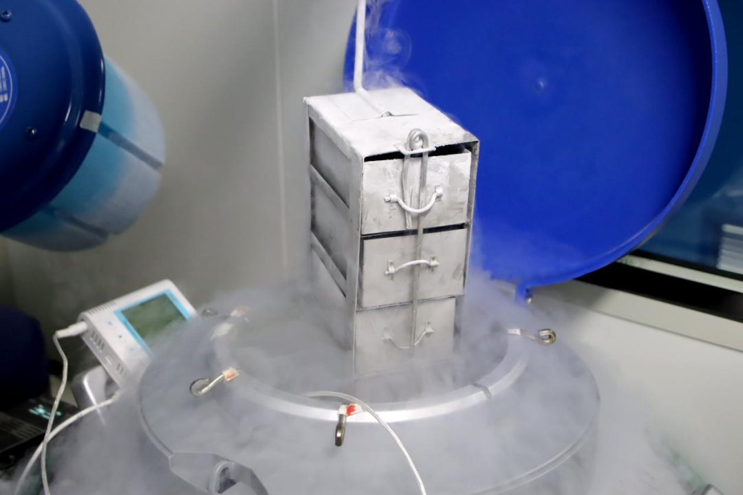 森贝伽生物:细胞冻存技术原理及操作步骤_冷冻_代谢_后续