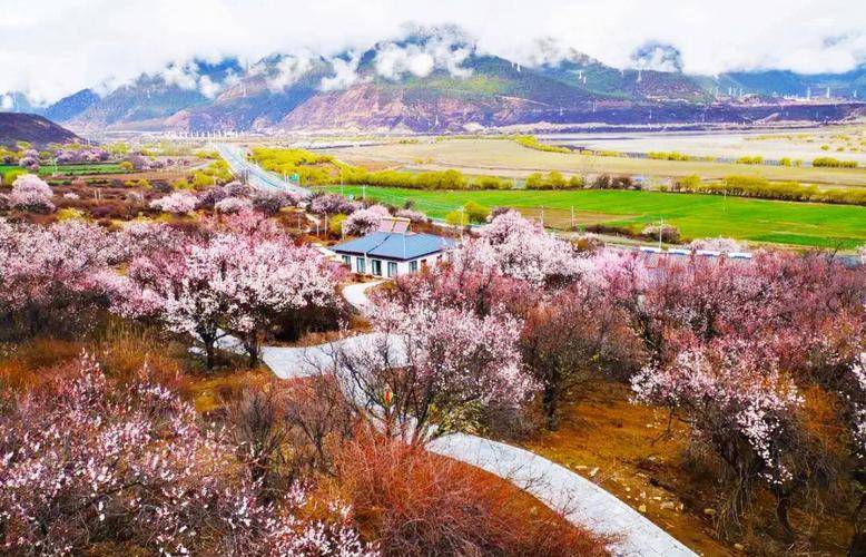 西藏景点门票预约攻略,林芝景区门票免费政策_前往_信息_朋友