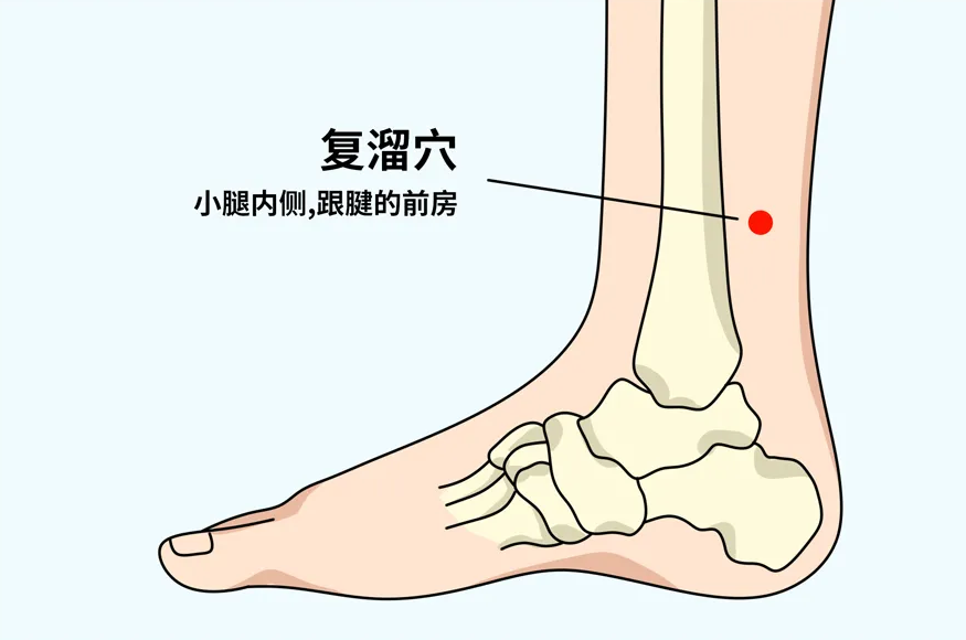 人体脚踝经脉图片