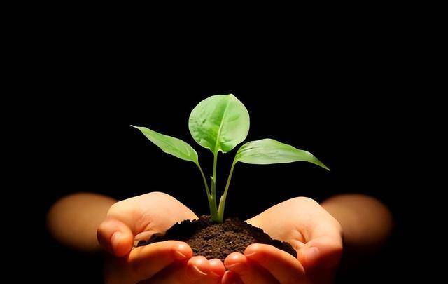 "人有贵气,一看便知",身上有这三种特征的人,想藏