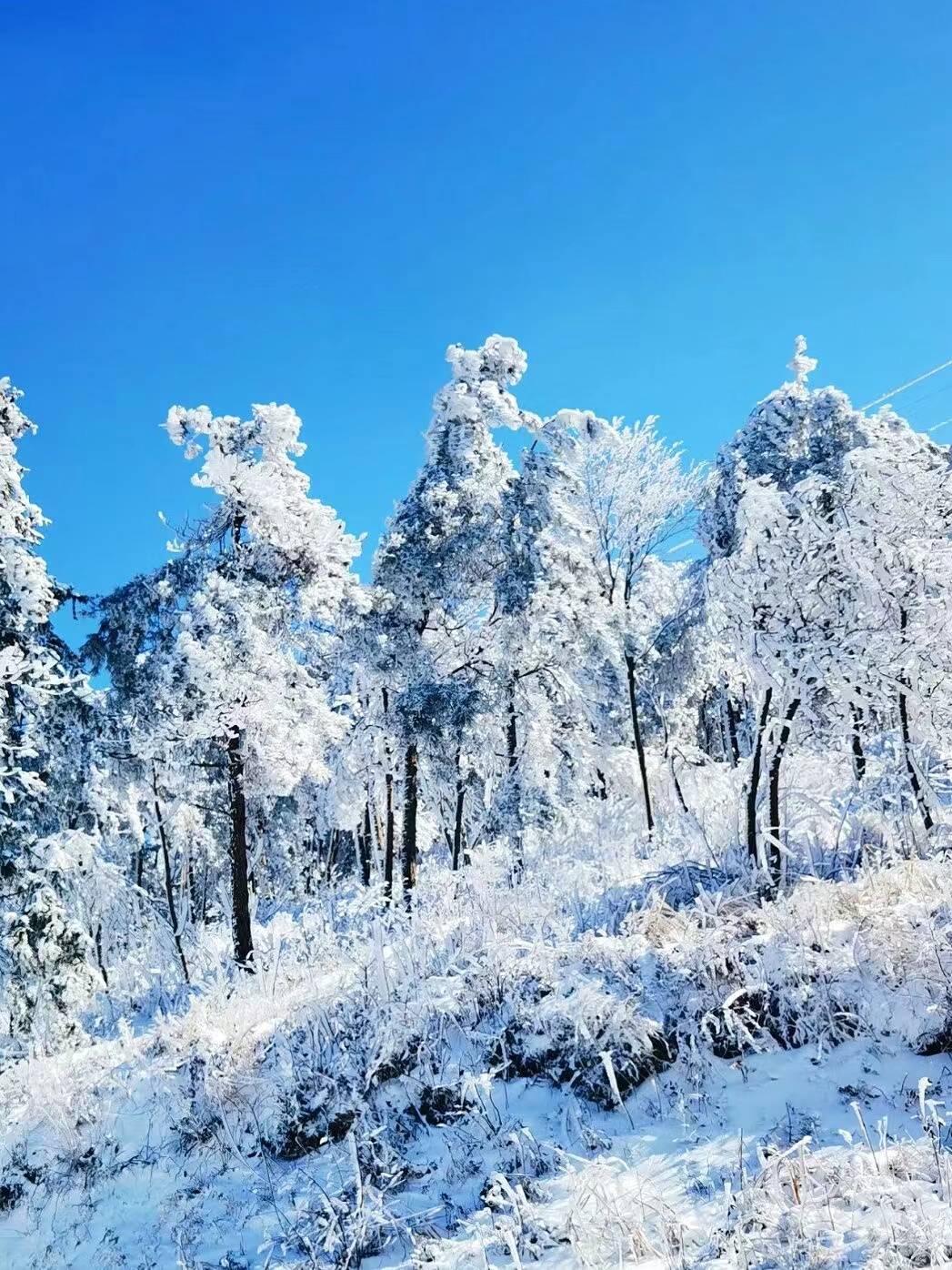 穿林海跨雪原……邊呼吸著大氧吧的新鮮空氣邊暢遊銀色山林好暢快!