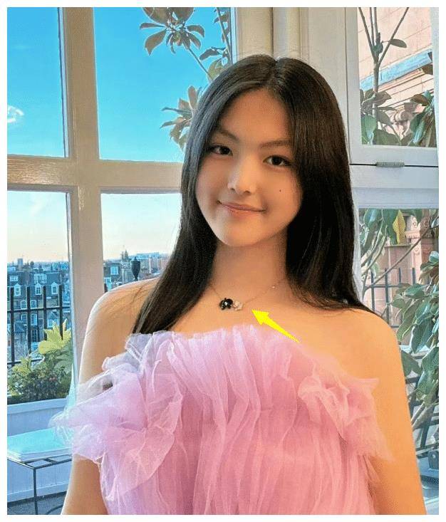 王诗龄戴6万元项链跳舞,11岁甜馨为昆明动物园发声_李湘_网友_视频