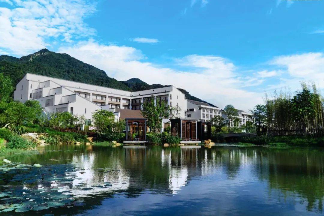 民宿佛山市医养康养产业发展有限公司-贵州省麻江县桃花岛民宿有限