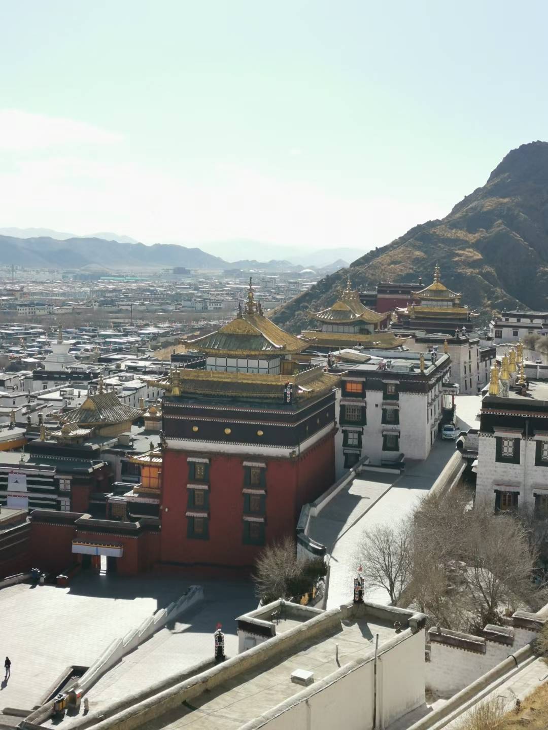 「智库杨兆波阅读随笔」我记忆里的雪域高原上的扎布伦寺_宁静_寺庙