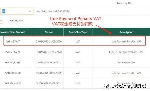 银行流水可以网上拉玛 来自搜狐网