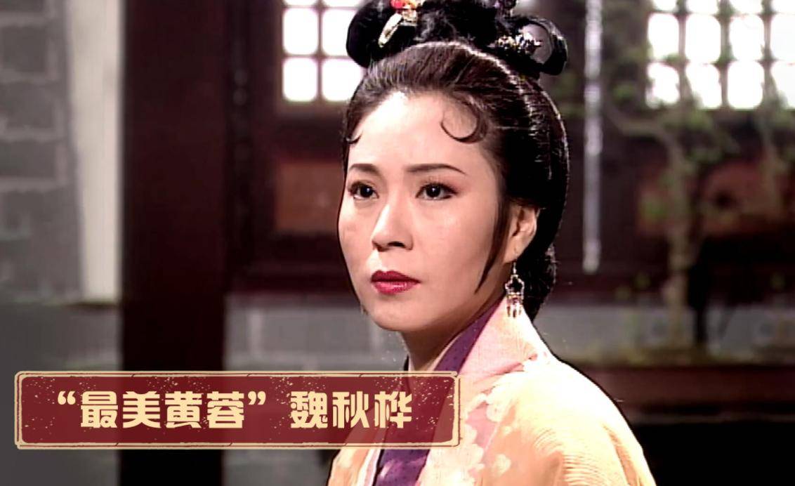 魏秋桦_角色_影坛