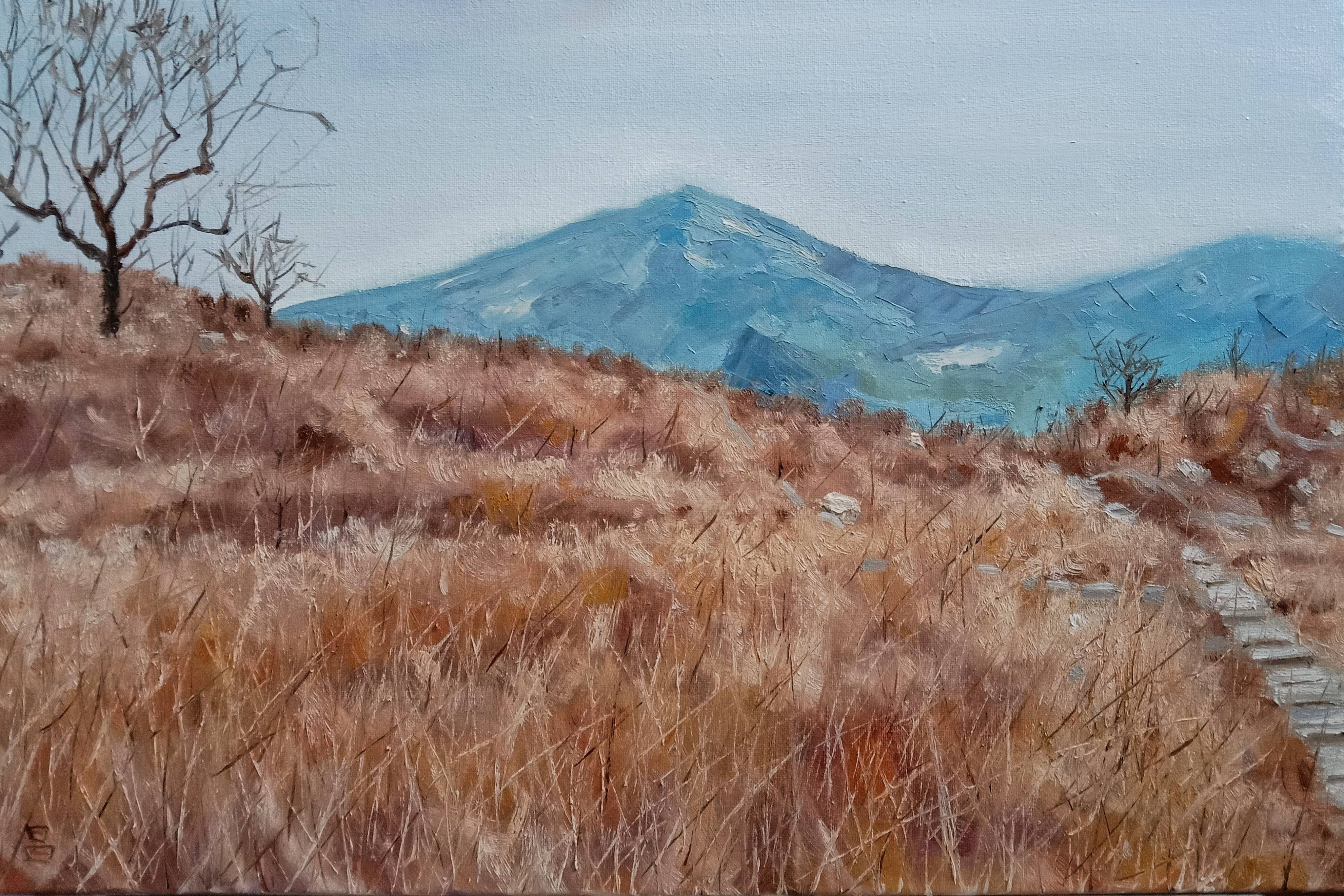 陈述昌【冬之印象】油画写生作品展_布面_大自然_昌平