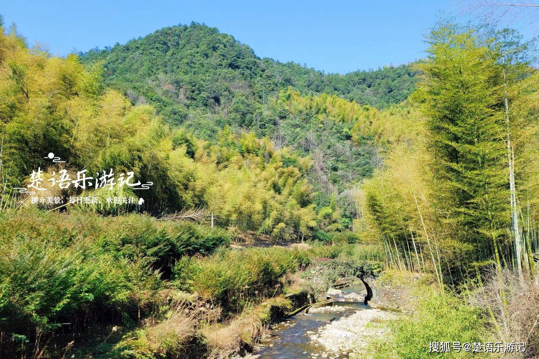 浙江寧波居於深山坳的古村,擁有絕美大竹海,勝似氧吧