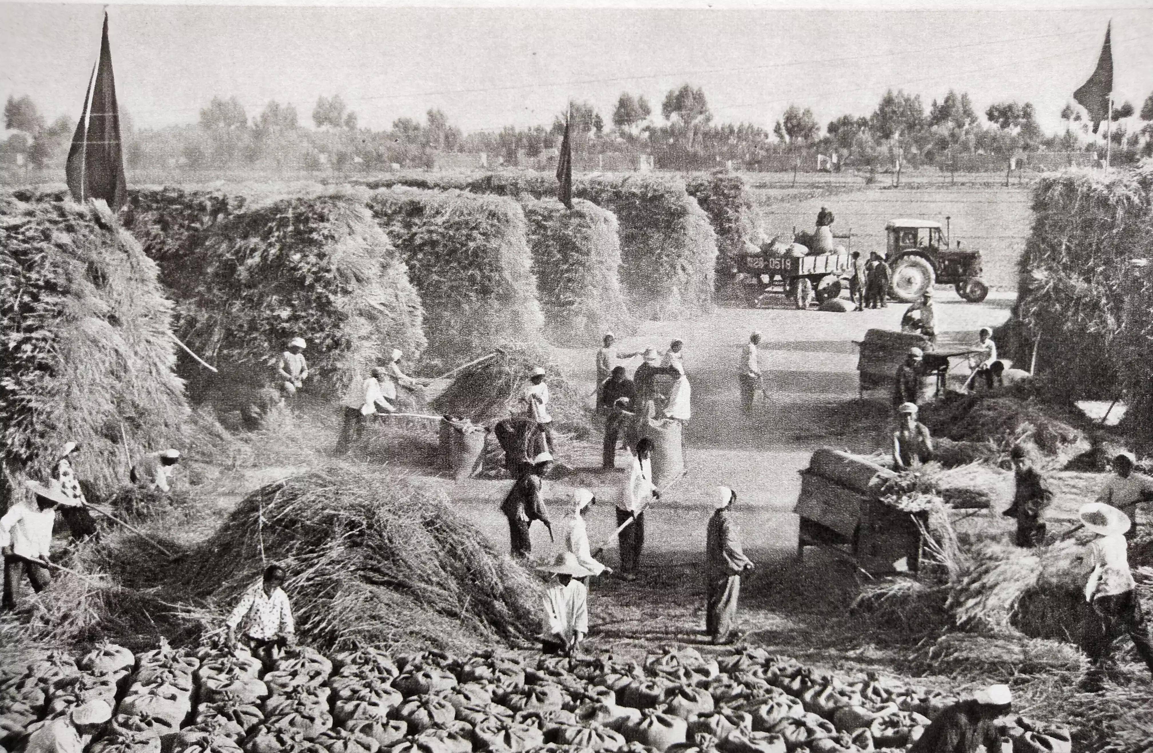 70年代记忆(17)-怀旧图片欣赏_知识青年_劳动_新农村