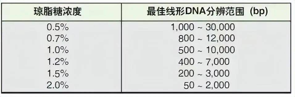 如果dna條帶呈微笑狀或波浪形,可以嘗試提高灌膠溫度,使用小分子核酸