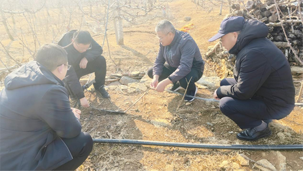 乡村振兴 山东科技特派员在行动