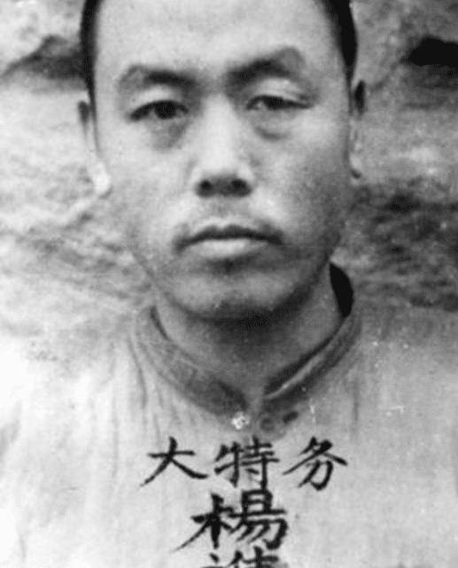 国军党争议特务,残害爱国名将等300人,四川村民积极举报立大功_杨进兴