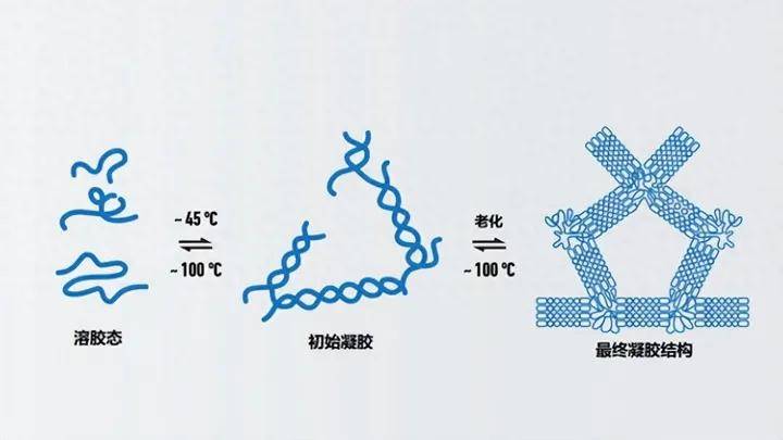 凝胶作用实验图片图片