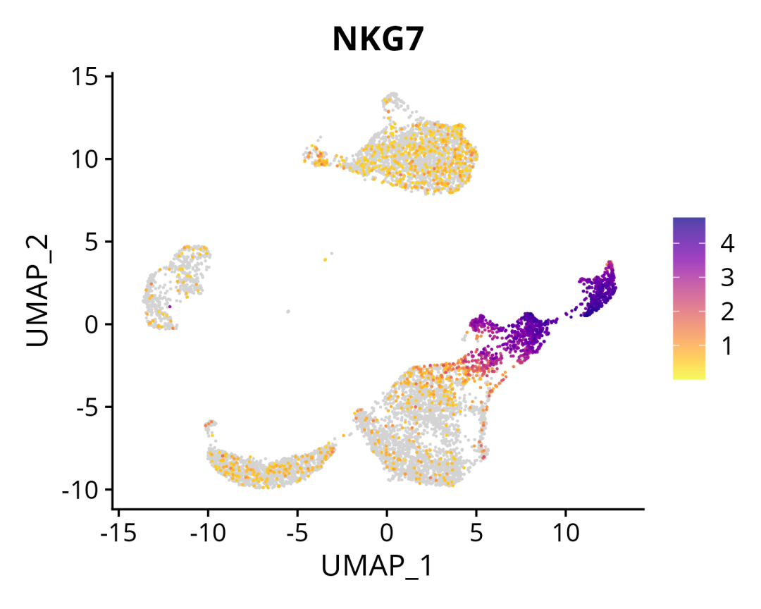 一文满足您对单细胞基因表达量UMAP图展示的所有需求_搜狐网