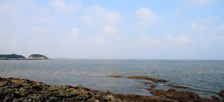 百年沧桑花园口_登陆_日军_间谍