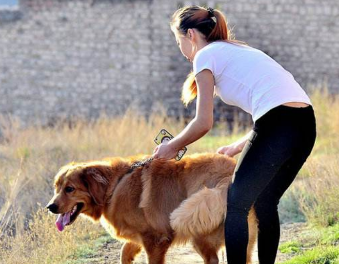 "好男不养猫,好女不养狗",女人养狗为什么不好,男人不可不知_宠物