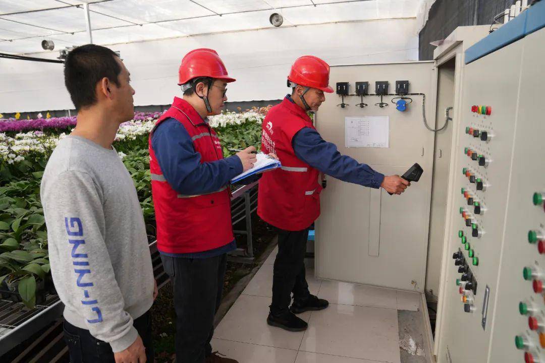 保定涿州公司徐立营供电所员工在蝴蝶兰种植基地对供电设备进行