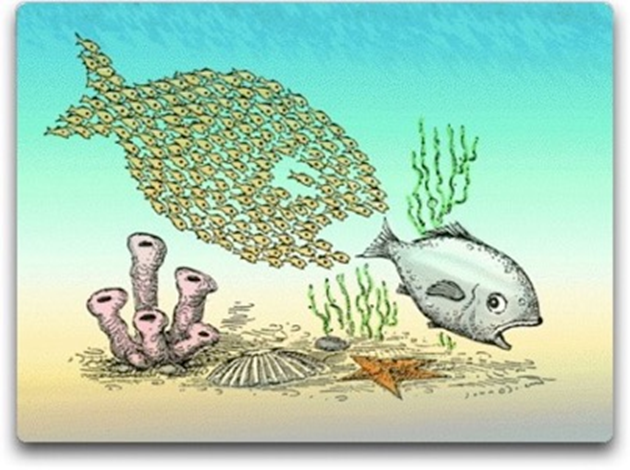 一篇赌上新传学业生涯的推送『涌现』你必须知道的!