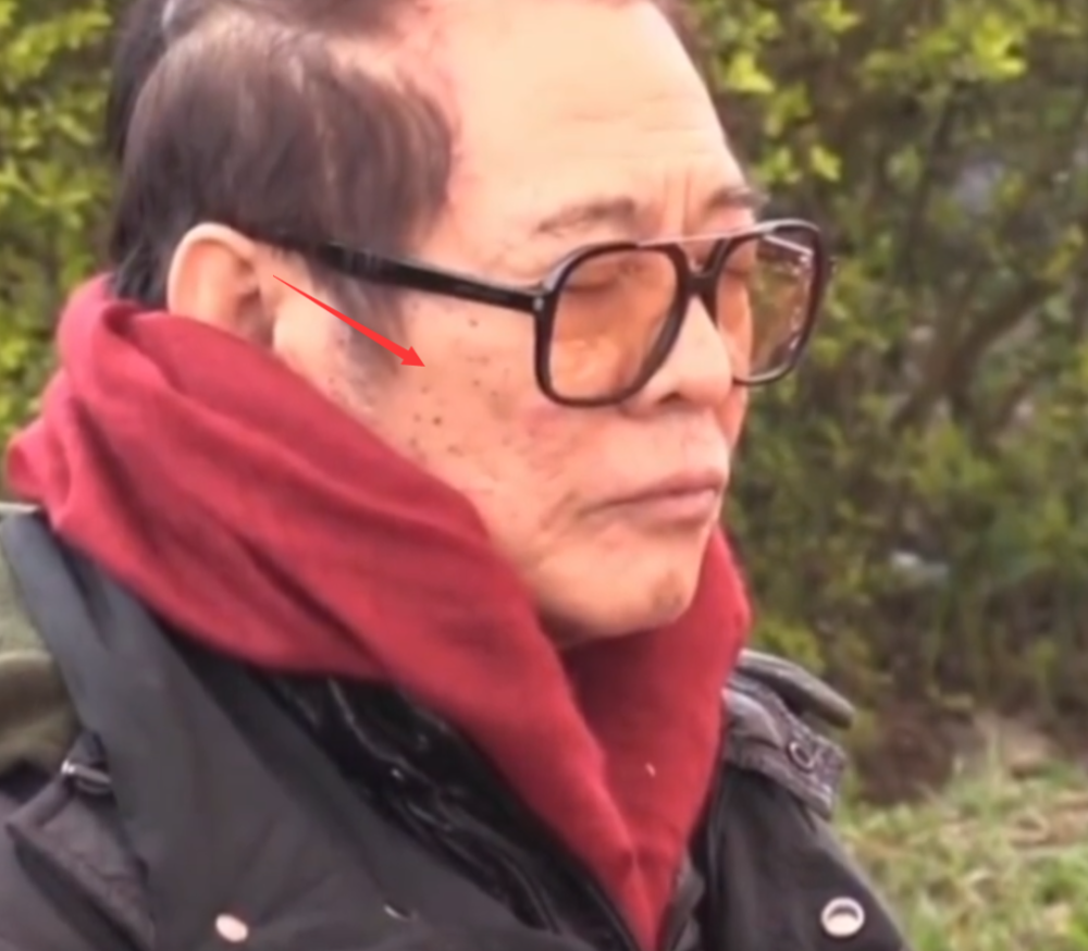 李连杰近照曝光:扎小辫,满脸黑色老年斑,和利智跪坐念经引热议