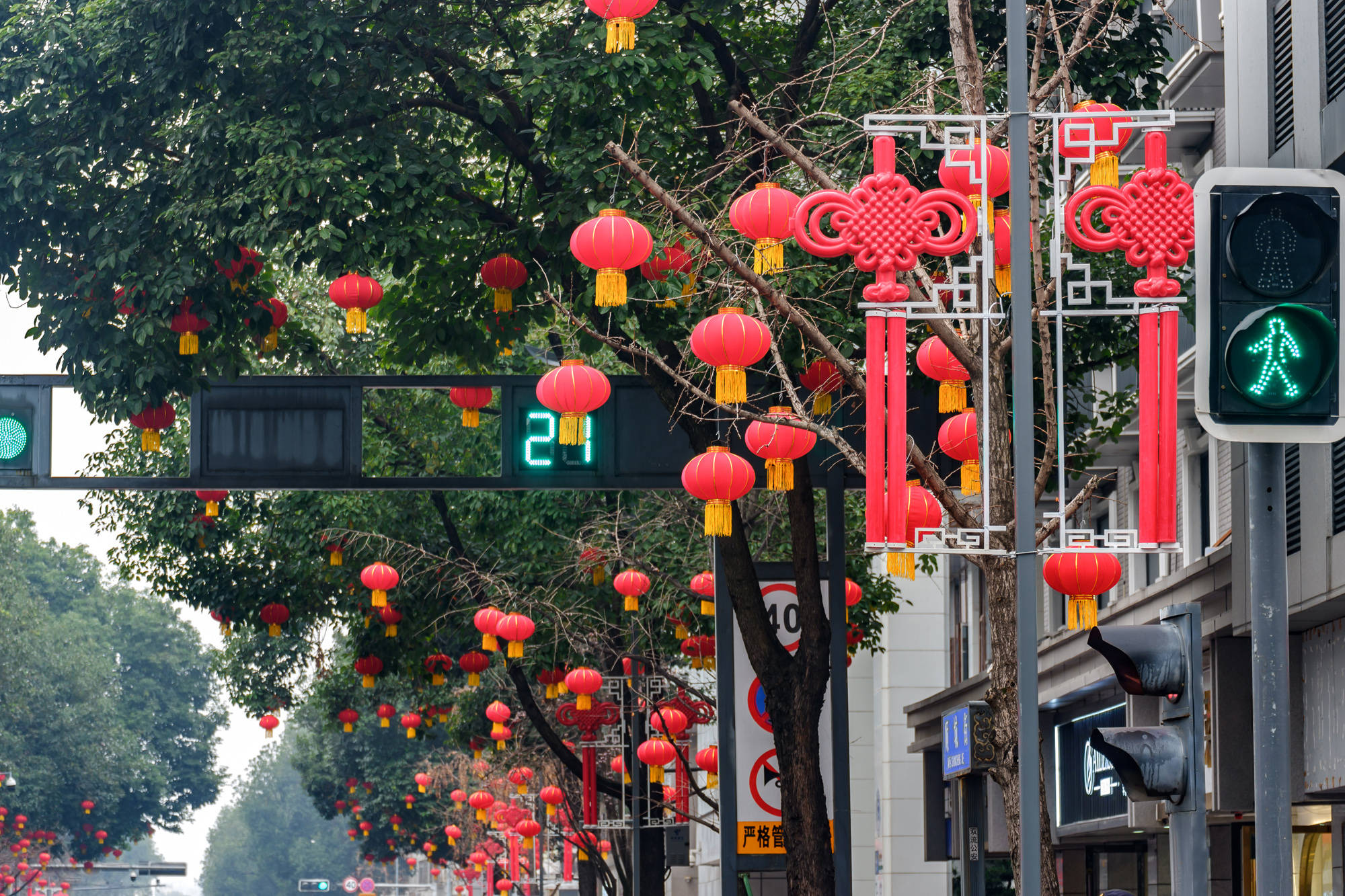 过新年挂灯笼图片图片