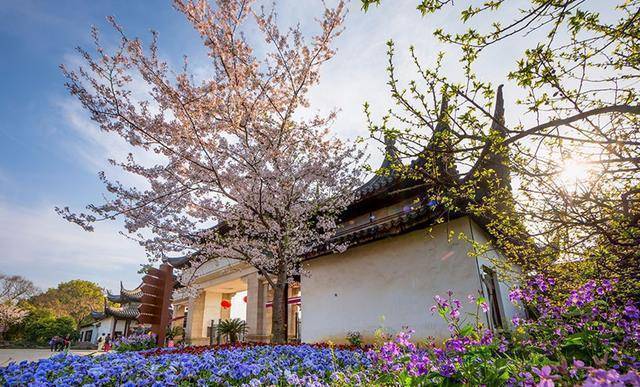 胜迹遍地,还被誉为吴中胜境,这个景区就是苏州的"上方山森林公园"