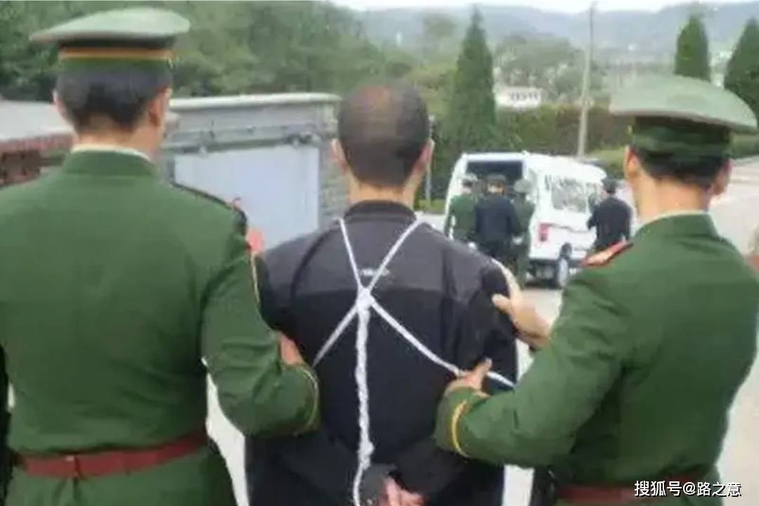 干警们克服连日征战的困倦,同石峰短兵相接,舌齿相击,政策攻心,斗智斗