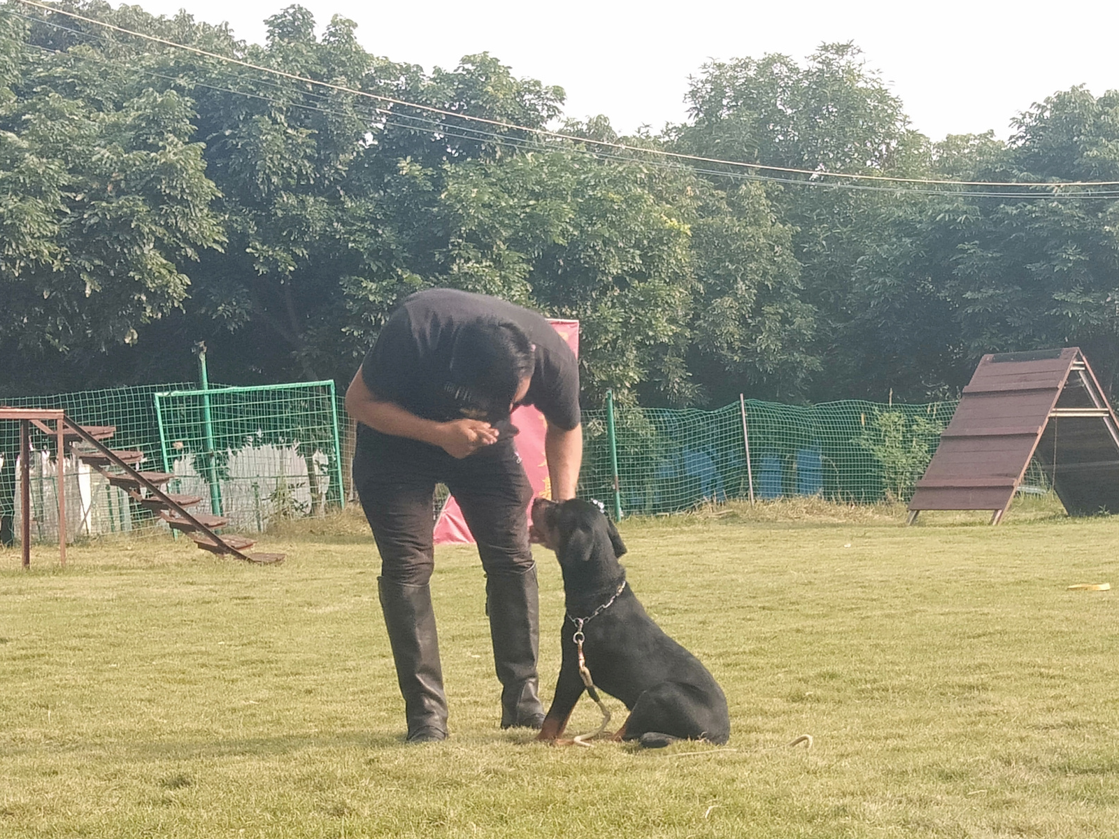 珠海训狗学校要专业靠谱的,伊甸园训犬基地