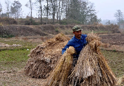 放假回家的你,请正视父母的辛苦和生活的艰难