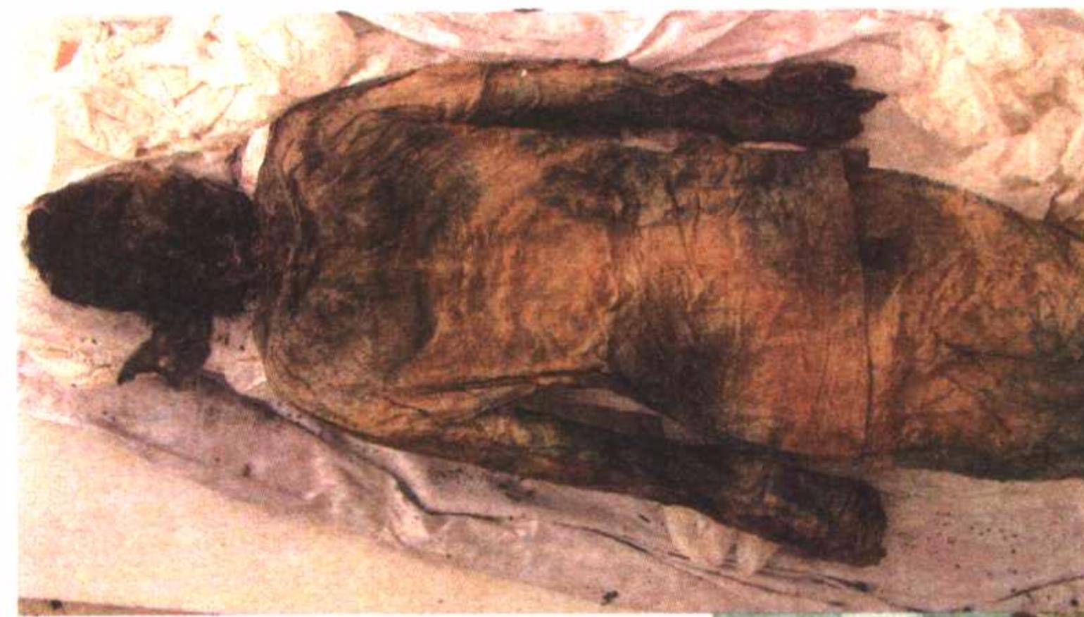 16年前石景山出土的干尸,头顶明朝发髻,身穿清朝官服,他是谁?