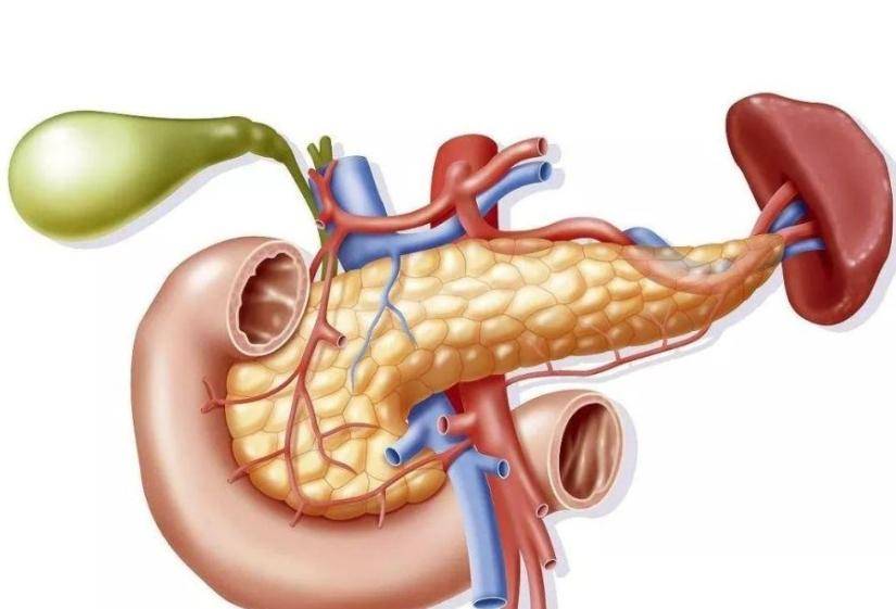 要过年啦,胰腺炎患者要牢记这"五要五不要